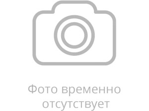 Каменева Лариса Евгеньевна Каменева Лариса Евгеньевна